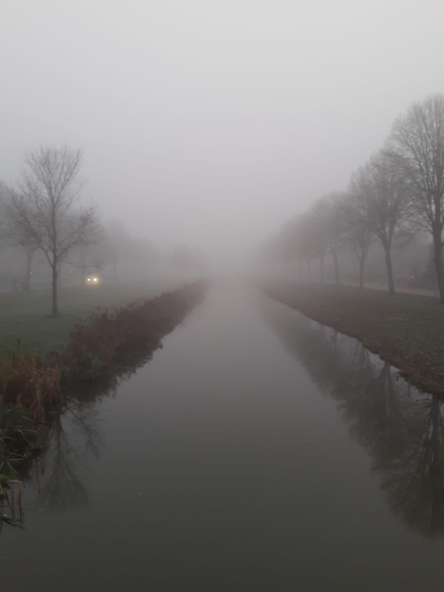 niet alleen mist buiten maar ook in mijn hoofd